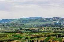 رئيس وأعضاء بلدية الجرمق يتقبلون التهاني 8 حزيران