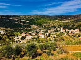 رئيس بلدية العيشية مرسال عون يصدر قرارا خاصا ببيع الأراضي