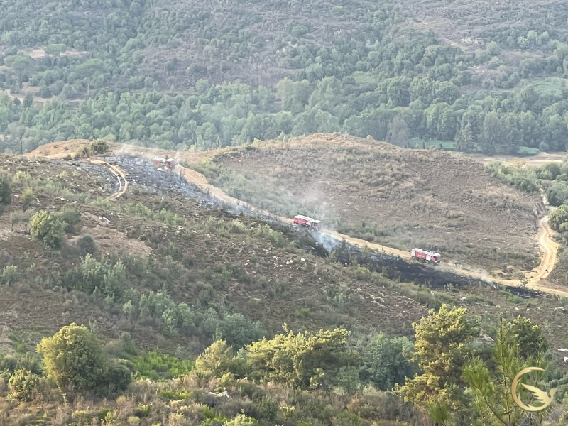 حريق بين جل ناشي والميدان