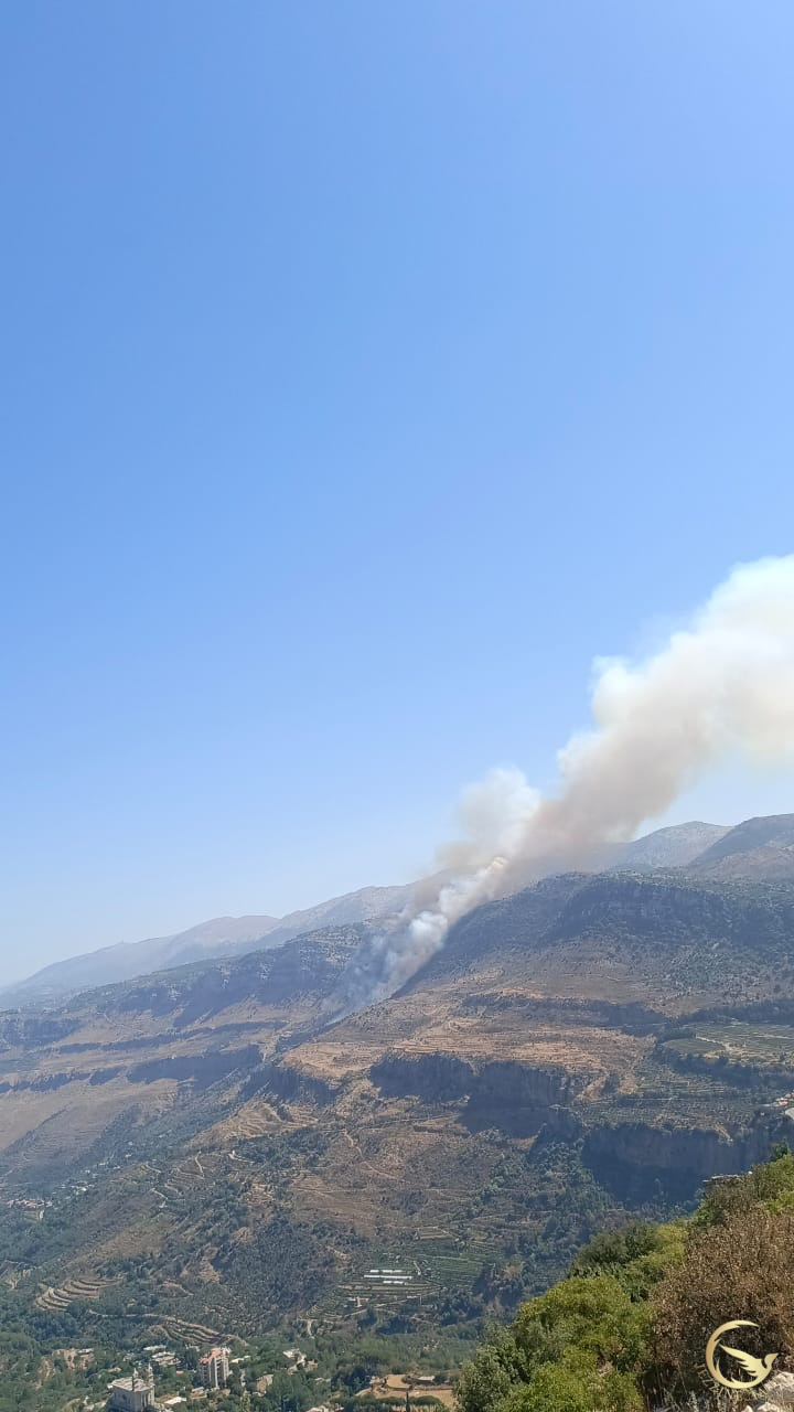 حريق كبير بين عزيبة في جزين وباتر