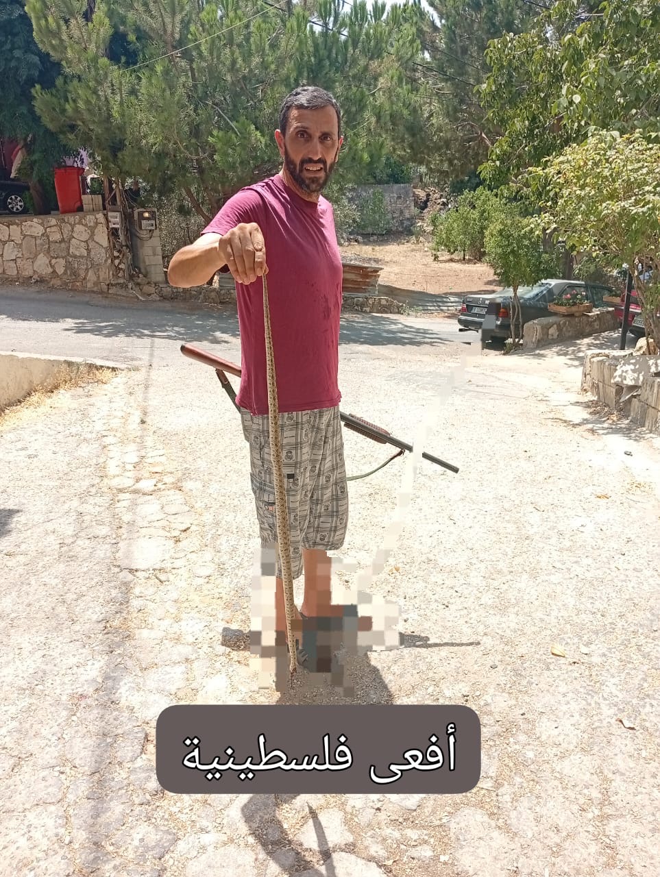 محمد نور الدين يقتل أفعى فلسطين السامة في كفررمان… احذروا