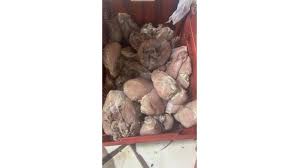 أطنان من لحوم دجاج فاسدة توزع على المطاعم والمحال في حلبا