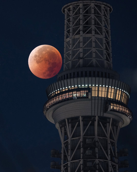 (بالصور)- القمر الدمويّ يسطع فوق آسيا وأوروبا وأفريقيا وأستراليا