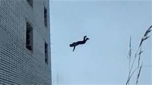 4 جرحى بعد سقوطهم من مقهى دبيبو قبالة صخرة الروشة