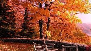 طقس خريفي...