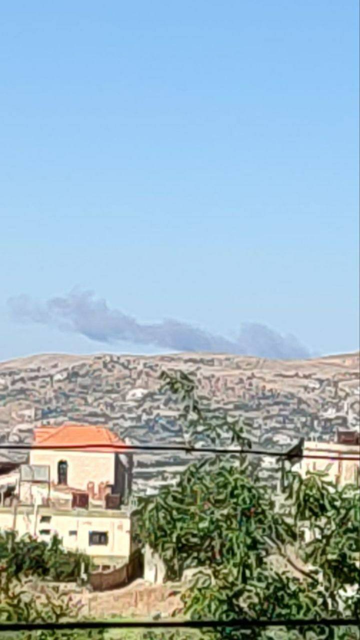 غارتان على حمى لبايا في البقاع الغربي