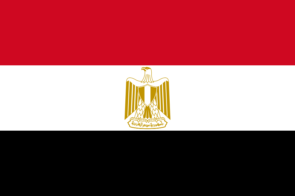 مسؤول حكومي مصري لـ