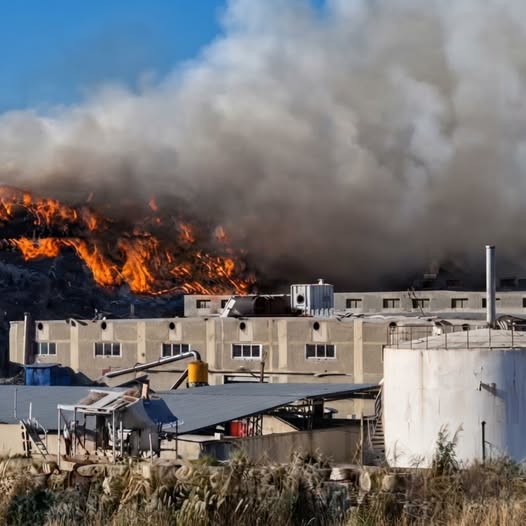 http://mail.jezzinetahki.com/upload/je_news/multi_je_news_img/92603/je_news_92603_1791391346.1085bbf0df1267db1b183bb932a0463b534a.jpg