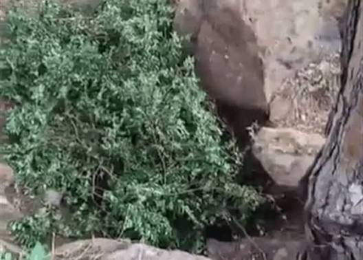 رئيس بلدية الفنار ميشال سلامة: المعلومات الأولية تشير إلى أن ما عثر عليه هو بداية نفق يجري حفره في المنطقة