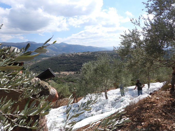 http://mail.jezzinetahki.com/upload/je_news/multi_je_news_img/93255/je_news_93255_1792479748.54655af60b7ad2909e28d9f7b7e035d2ec7b.jpg