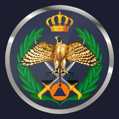 الأمن العام الأردني يحذر من تداول المنشورات المسيئة لشهداء ومصابي حادثة الكرك