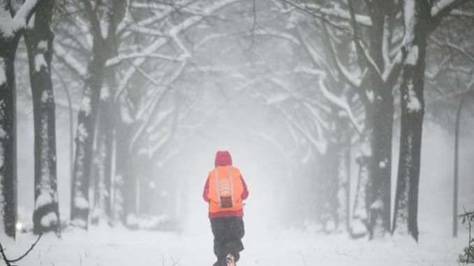 عواصف في شمال أوروبا عطلت النقل وحرم مئات الآلاف من الكهرباء