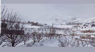 تساقط كثيف للثلوج على جبل الأربعين في الضنية