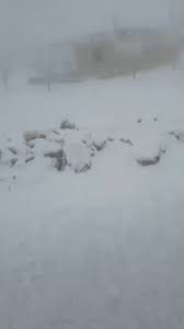 الثلوج في بلدة #عرسال