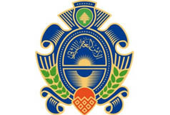 الأمن العام حذّر من مخاطر استخدام تطبيقات أو ألعاب تابعة للعدو