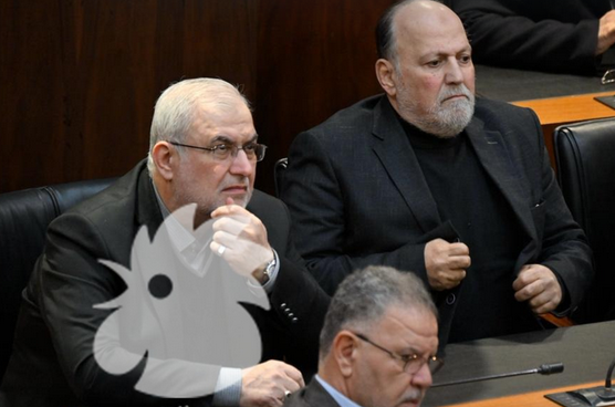 محمد رعد في مجلس النواب