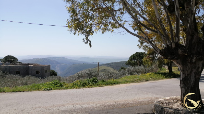 غارة على يحمر الشقيف