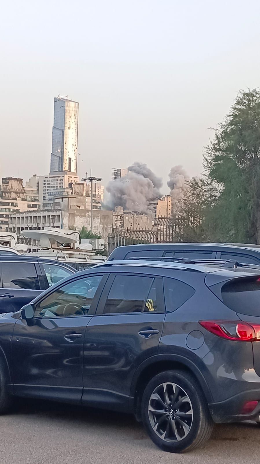 الغارة على الباشورة