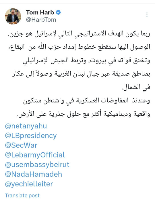 توم حرب: ربما يكون الهدف الاستراتيجي التالي لاسرائيل هو جزين!