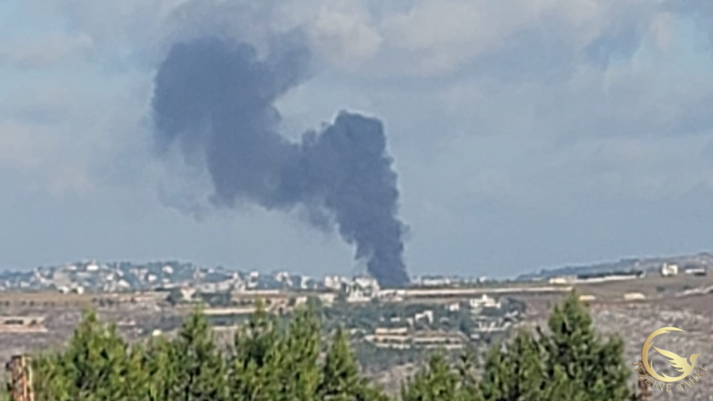 افاد مراسل جزين تحكي لطف الله ضاهر عن تجدد القصف المدفعي على النبطية الفوقا وشوكين