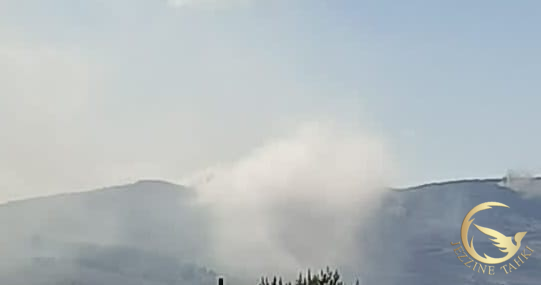 افاد مراسل جزين تحكي لطف الله ضاهر عن قصف مدفعي متفجر ومدخن على اطراف كفرتبنيت وتلة علي الطاهر
